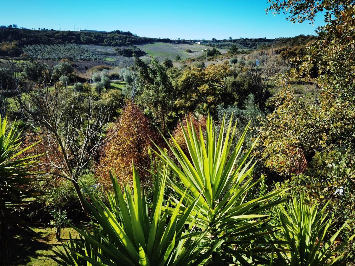 Quinta Do Vale Encantado "The Valley" - Santarem - Portugal Calhariz ภายนอก รูปภาพ