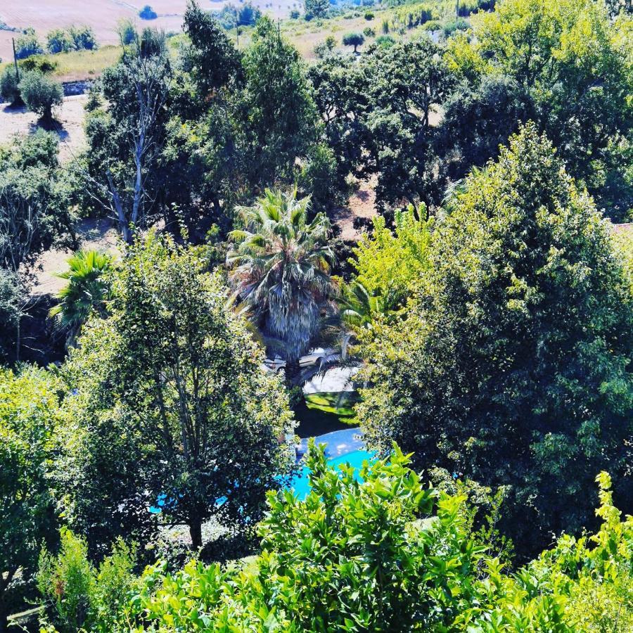 Quinta Do Vale Encantado "The Valley" - Santarem - Portugal Calhariz ภายนอก รูปภาพ