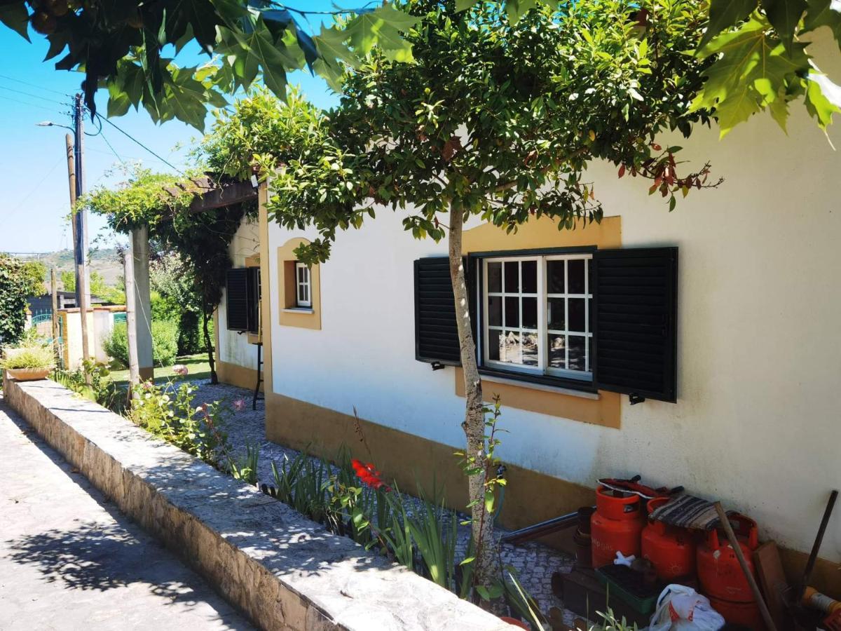 Quinta Do Vale Encantado "The Valley" - Santarem - Portugal Calhariz ภายนอก รูปภาพ