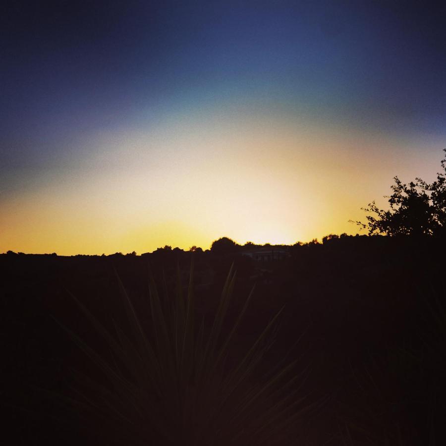 Quinta Do Vale Encantado "The Valley" - Santarem - Portugal Calhariz ภายนอก รูปภาพ