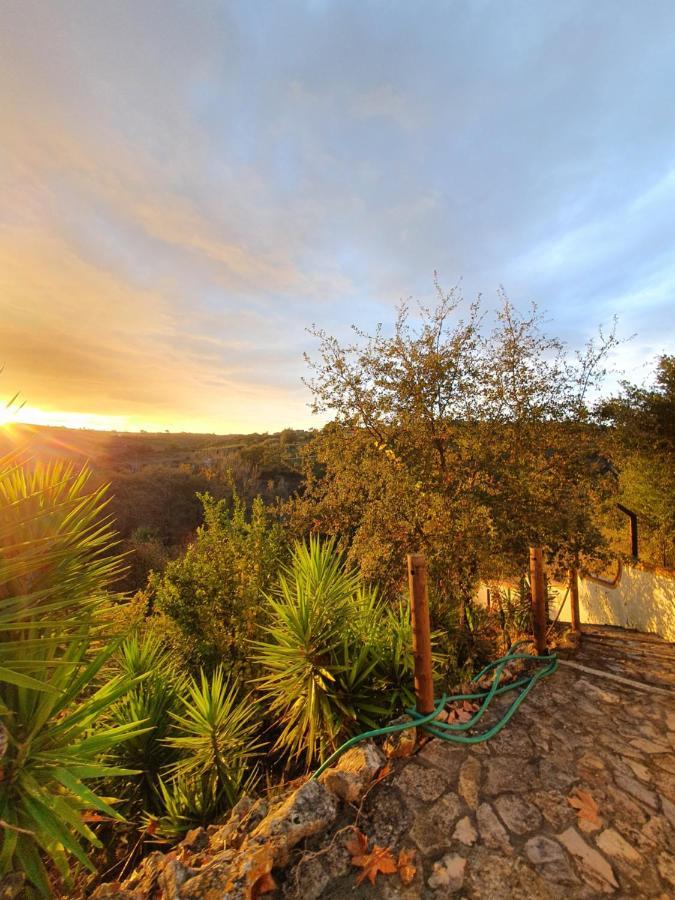 Quinta Do Vale Encantado "The Valley" - Santarem - Portugal Calhariz ภายนอก รูปภาพ