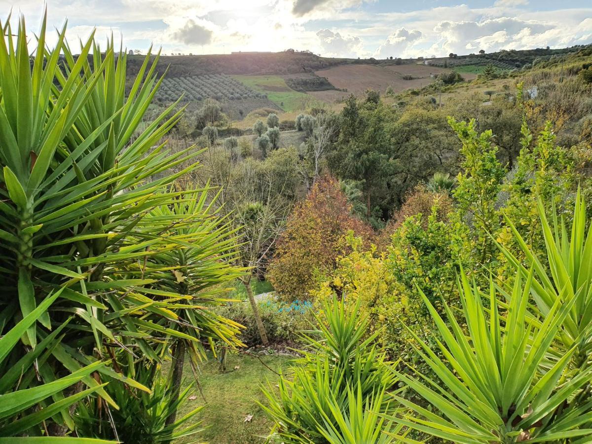 Quinta Do Vale Encantado "The Valley" - Santarem - Portugal Calhariz ภายนอก รูปภาพ