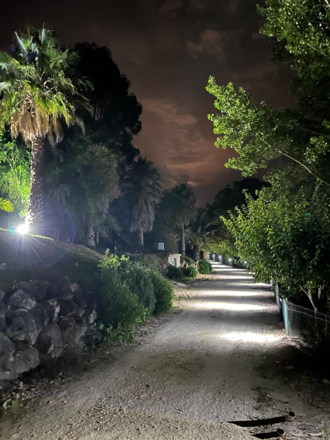 Quinta Do Vale Encantado "The Valley" - Santarem - Portugal Calhariz ภายนอก รูปภาพ