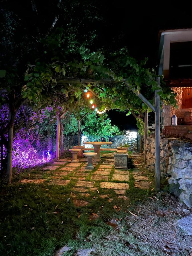 Quinta Do Vale Encantado "The Valley" - Santarem - Portugal Calhariz ภายนอก รูปภาพ